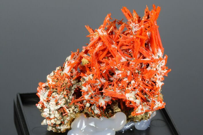 Bright Orange Crocoite Crystal Cluster - Tasmania #182735